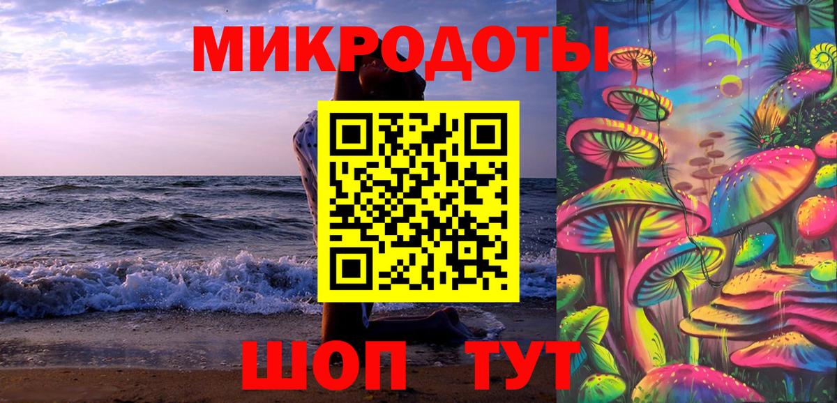 Гусев  Псилоцибиновые грибы Psilocybine cubensis  Вход с VPN 